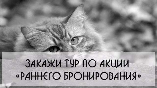 Раннее бронирование от www.magellan.by +375 17 293 40 00 смотреть онлайн