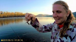 Дела житейские. Конец весны в деревне