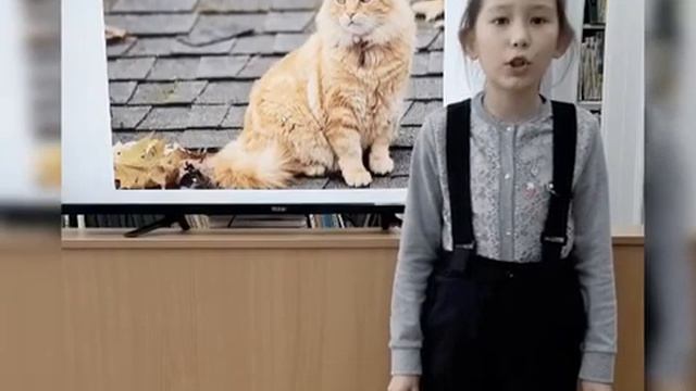 Михаил Придворов Прохожий и кошка. смотреть онлайн