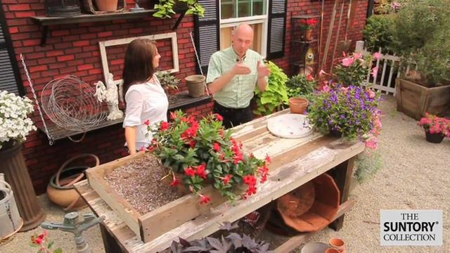 International Plantsman Garry Grueber Shares Why He Loves Suntory смотреть онлайн