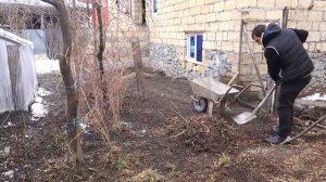 ДОЛМА ИЗ ВИНОГРАДНЫХ ЛИСТЬЕВ Азербайджанская Кухня Деревенская Кухня  Рецепты