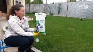 Золотое правило красивого газона: после стрижки - удобрение. Применение удобрения для газона