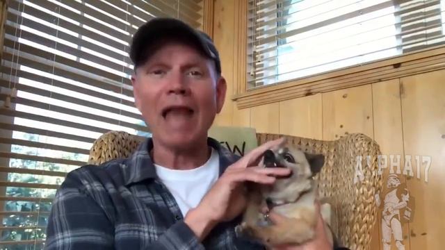 Как я расслабляюсь в пятницу вечером? смотреть онлайн