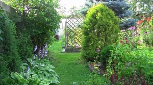 Отдых на даче. Уникальный проект - Дачные картинки.