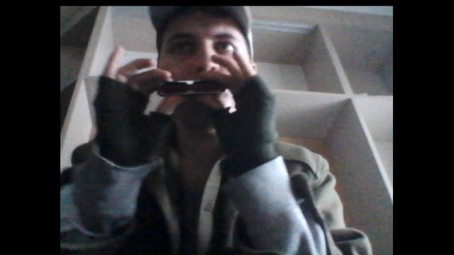 @YumFlowerBoiler New Golden Melody harmonica; 5th of 2023 Freestyle #6 смотреть онлайн