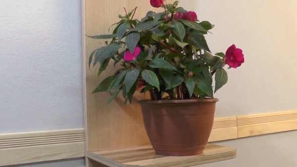 Двухкомпонентный клей AKFIX 705 MDF Kit (2)