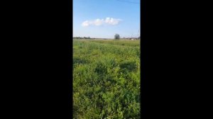 «Настоящая труженица» // отзыв владельца квадробукса Росомаха 500