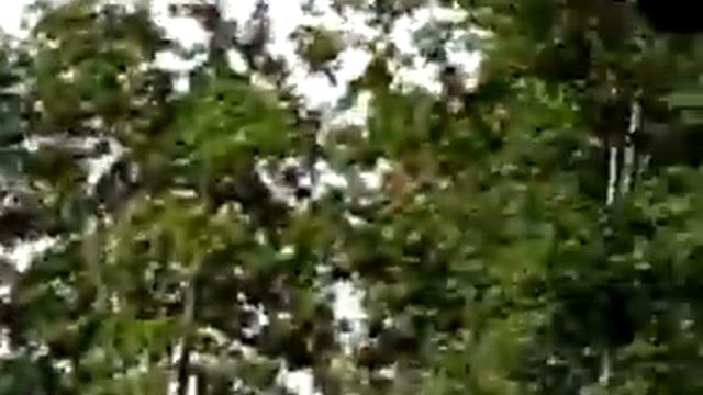 ...я тебя ненавижу... смотреть онлайн