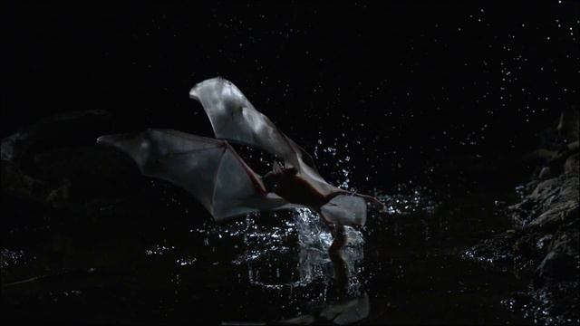 "Zоопарк": "Планета мутантов" смотреть онлайн