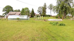 2 гектара | глухая деревня в Эстонии | обзор двора | remote village in Estonia | yard overview
