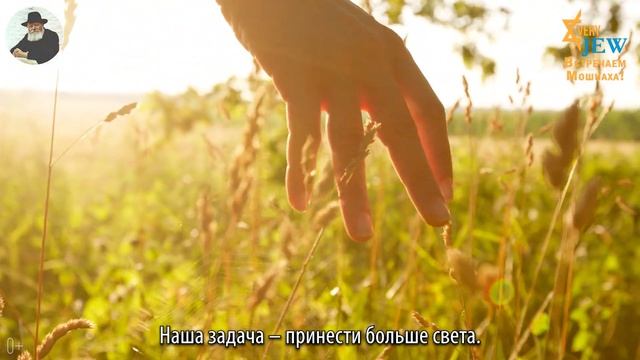 Борьба со злом, когда это необходимо, благородное дело... Из книги "365 изречений Любавичского Ребе смотреть онлайн