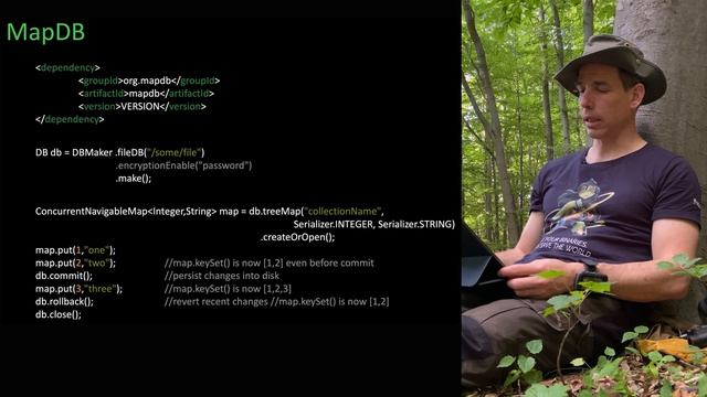 Versteckte Perlen für die Java High Peformance Persistence смотреть онлайн