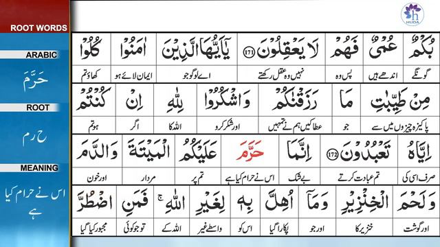 Surah 2: Surah Baqarah Ayat 173 Tafseer by Dr. Farhat Hashmi смотреть онлайн