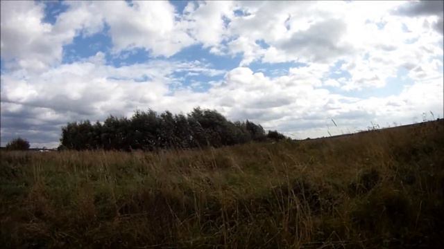 Щенки рабочего лабрадора фт, Амур, подачи 2, 3 месяца, врожденные качества