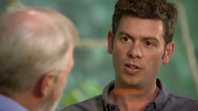 Планета муравьёв: Взгляд изнутри (документальный фильм, 2012) смотреть онлайн