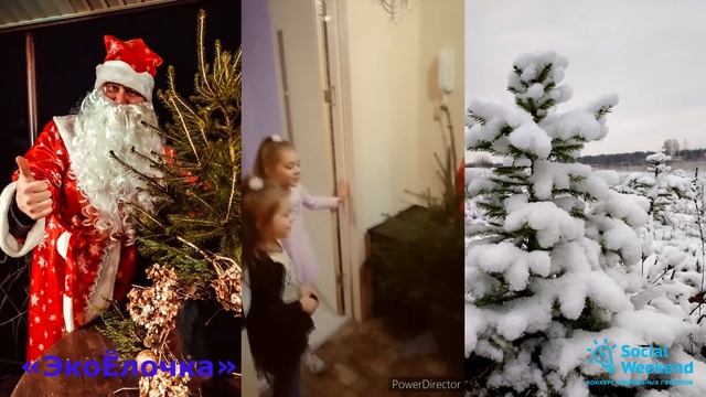 ЭкоЁлочка. Social weekend #16' 2021. смотреть онлайн