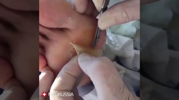 Video by МЕДИЦИНА.mp4