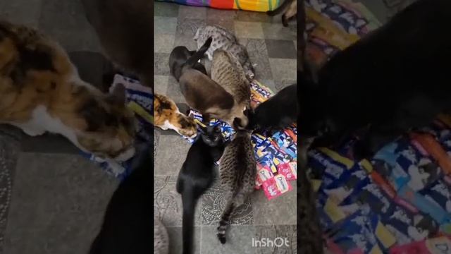 Хотим поблагодарить Ивана за подарки для наших деток!Они рады как дети вниманию и гостинцам! смотреть онлайн