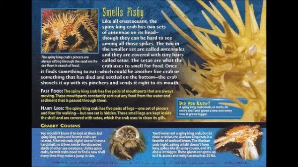 04  Weird N Wild Creatures   Monsters of the Deep