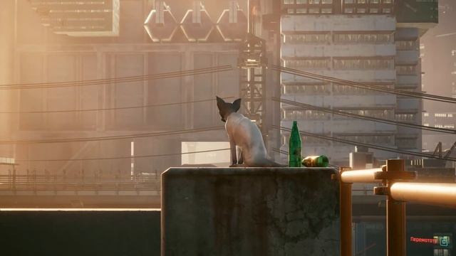 Cyberpunk 2077: НА МЯГКИХ ЛАПАХ Часть-30 Основное задание Прохождение (Без комментарий) смотреть онлайн
