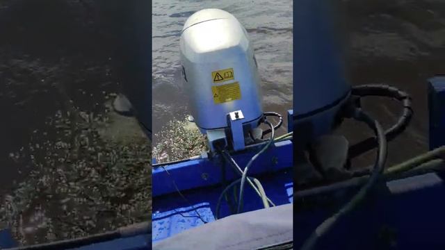 Honda bf 40 А колбасит на холостых смотреть онлайн