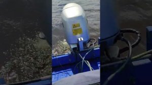Honda bf 40 А колбасит на холостых
