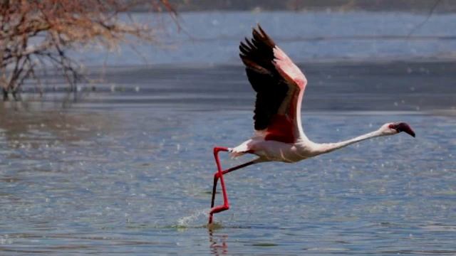 Flamenco Sketches Backing Track смотреть онлайн