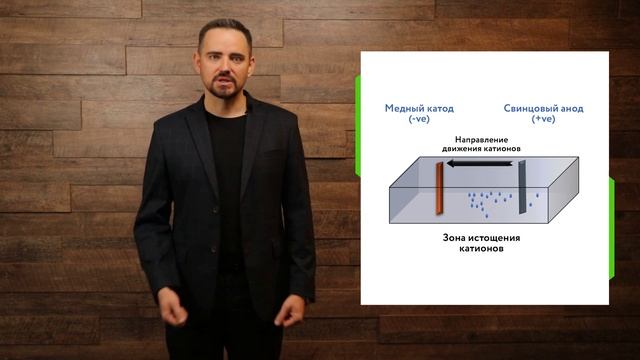 Основы процесса электроэкстракции смотреть онлайн