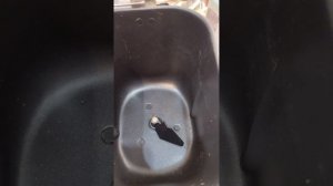 Замена лопатки на хлебопечке