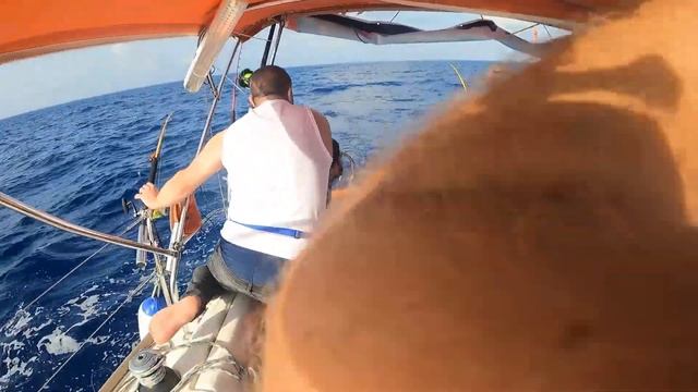 Рыбалка удалась?Троллинг тунца? Средиземное море - Израиль смотреть онлайн