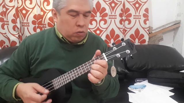 my heart will go on ukulele смотреть онлайн