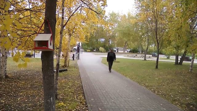 Разговор о главном Целовальник (ПФР) смотреть онлайн