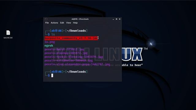 burp suite 32 bit for kali linux AK KHAN смотреть онлайн