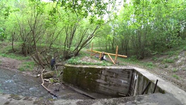 Экотропа Егошихинская 17 мая 2020 смотреть онлайн