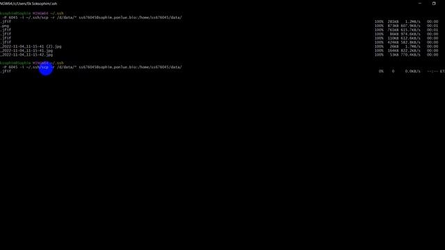 TRANFER DATA TO REAL SERVVER (SSH SCP) смотреть онлайн