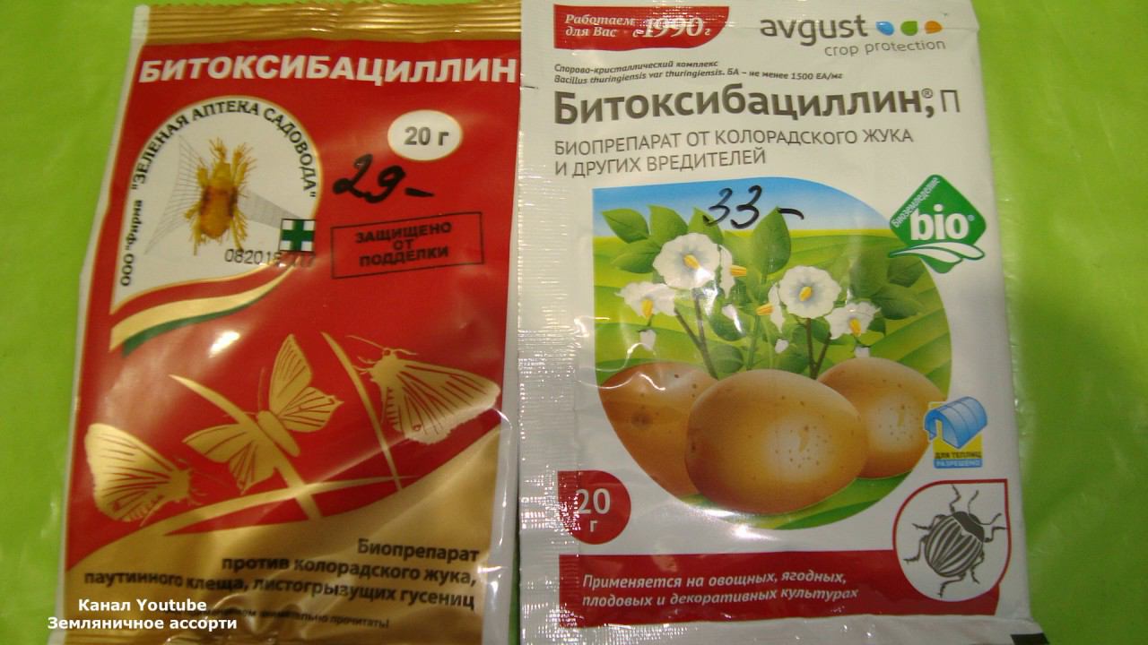 БИТОКСИБАЦИЛЛИН . ВСЕ ЧТО НАДО ЗНАТЬ О БИТОКСИБАЦИЛЛИНЕ смотреть онлайн