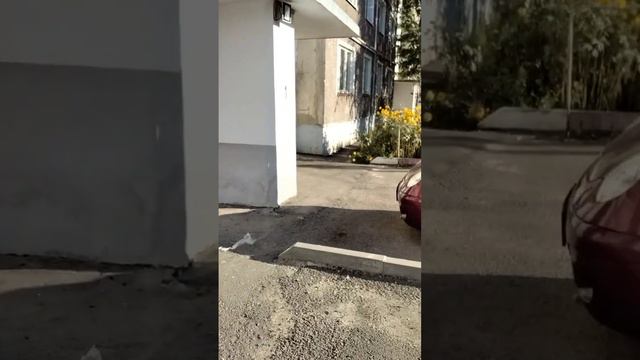 Дзержинского 4 А г.Моршанск..mp4 смотреть онлайн