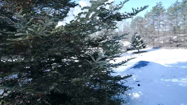 We Made A Big Mistake...