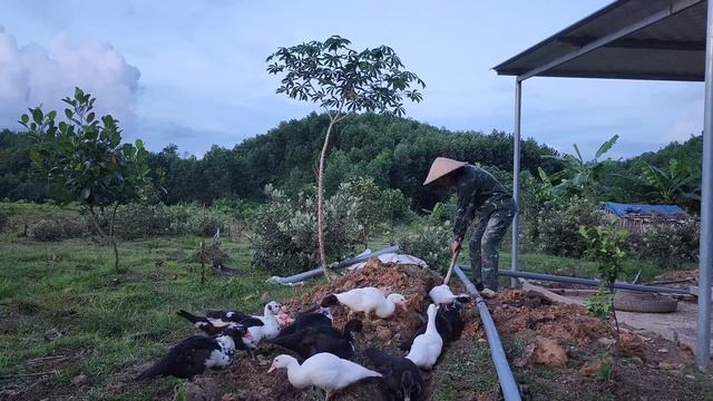 Go get two more puppies, septic tank the toilet is complete, live with nature... смотреть онлайн