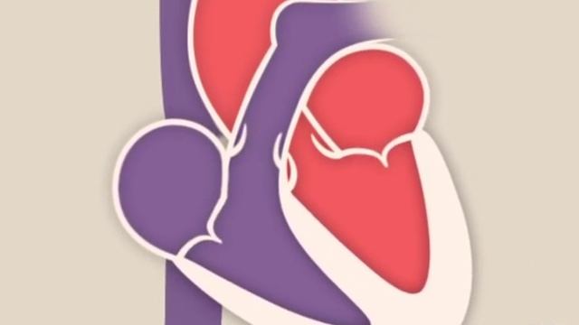 The Heart and Circulatory System - How They Work смотреть онлайн