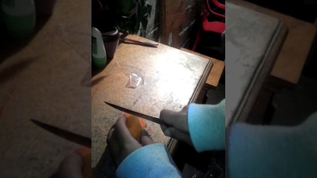Como hidratar tu hámster смотреть онлайн