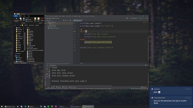 Python Tutorial for Beginners - Episode 2: Input, Conditionals, and Loops смотреть онлайн