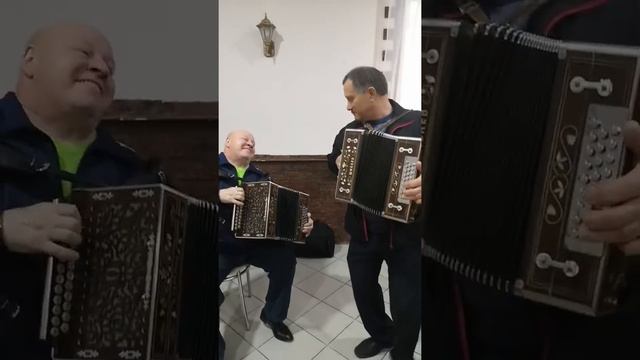 Гармони Терехин Шибаев. смотреть онлайн