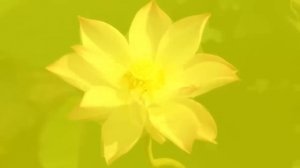 Звуковой массаж всех чакр: Чудо-Тона 174Гц, 285Гц, 396Гц, 417Гц, 528Гц, 639Гц, 741Гц, 852Гц, 963 Гц