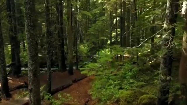 ежедневная медитация "среда" #медитация #визуализация смотреть онлайн