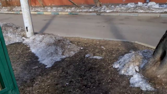 Москва Перово Новогиреево 5 марта 2022 года(3) смотреть онлайн