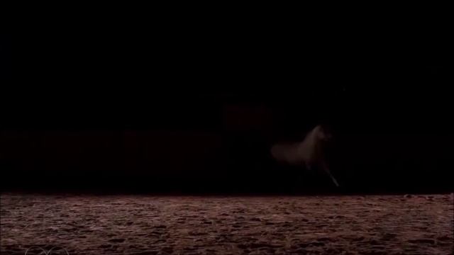 Loreena McKennitt ~ Please Remember Me ~ Dante's Prayer (Veterans Day Tribute) смотреть онлайн