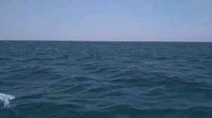 Открытое море по дороге к острову джарылгач