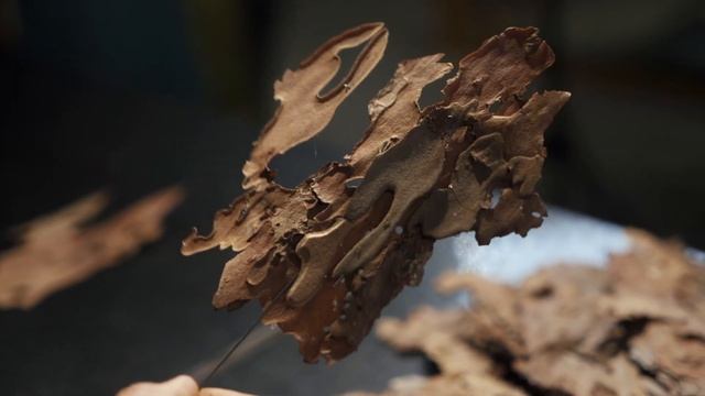 Как собрать букет на каркасе | Каркас для букета | Мастер-класс Дмитрия Туркан смотреть онлайн