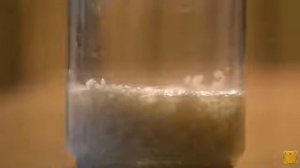 Масару Эмото и его Эксперимент с водой и рисом